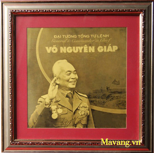 anh-dai-tuong-vo-nguyen-giap